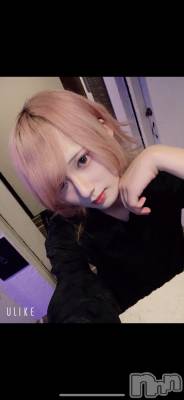 ��Į�ۥ��ȡ��ܡ������С�A151(�����������ݥ���) ��򥷥��8��16���̥�֥����֥ᥤ��ƻ��Ȥ�˺�줿��