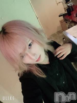 ��Į�ۥ��ȡ��ܡ������С�A151(�����������ݥ���) ��򥷥��8��17���̥�֥����֥ܥȥå����ǤäƤ�����