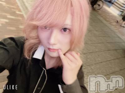 ��Į�ۥ��ȡ��ܡ������С�A151(�����������ݥ���) ��򥷥��8��25���̥�֥����֤���6����