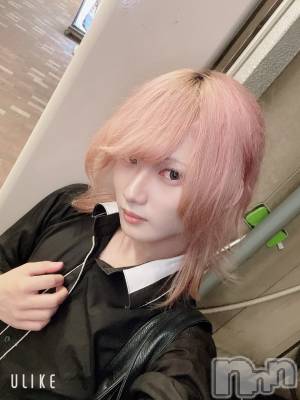 ��Į�ۥ��ȡ��ܡ������С�A151(�����������ݥ���) ��򥷥��8��28���̥�֥����ֽжФ��Ƥ��