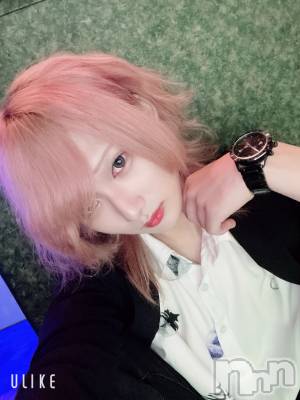 ��Į�ۥ��ȡ��ܡ������С�A151(�����������ݥ���) ��򥷥��8��31���̥�֥�������������