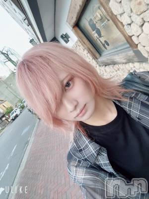 ��Į�ۥ��ȡ��ܡ������С�A151(�����������ݥ���) ��򥷥��9��3���̥�֥����ְ���(���ä�)�Ǥ���