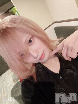 ��Į�ۥ��ȡ��ܡ������С�A151(�����������ݥ���) ��򥷥��9��4���̥�֥����ֺ����������