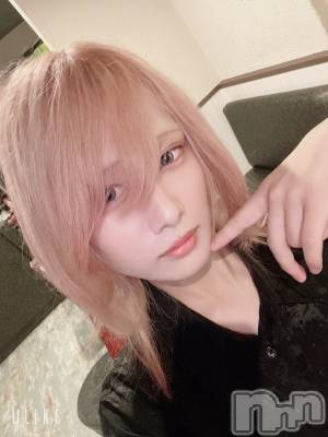 ��Į�ۥ��ȡ��ܡ������С�A151(�����������ݥ���) ��򥷥��9��5���̥�֥�����ȱ�����ӤƤ�����