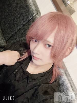 ��Į�ۥ��ȡ��ܡ������С�A151(�����������ݥ���) ��򥷥��9��7���̥�֥����ֽжФ��Ƥ����