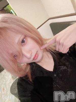 ��Į�ۥ��ȡ��ܡ������С�A151(�����������ݥ���) ��򥷥��9��8���̥�֥����ֲ�Ѥ������