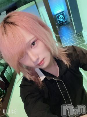 ��Į�ۥ��ȡ��ܡ������С�A151(�����������ݥ���) ��򥷥��9��12���̥�֥����֤���ä���Ǥ����