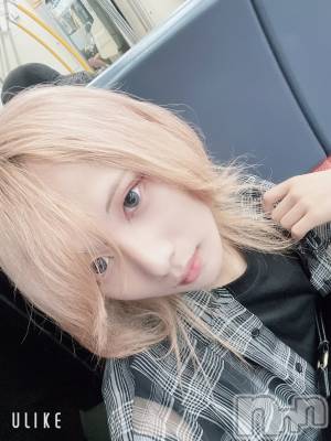 ��Į�ۥ��ȡ��ܡ������С�A151(�����������ݥ���) ��򥷥��10��9���̥�֥����ֽжФ�������