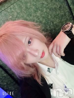 ��Į�ۥ��ȡ��ܡ������С�A151(�����������ݥ���) ��򥷥��10��11���̥�֥����ֺ�����Ż���ĥ��ޤ���