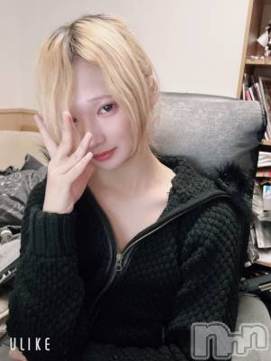 ��Į�ۥ��ȡ��ܡ������С�A151(�����������ݥ���) ��򥷥��10��29���̥�֥������ϸ����鰦�����ơ�