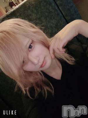 ��Į�ۥ��ȡ��ܡ������С�A151(�����������ݥ���) ��򥷥��10��31���̥�֥����֤Ϥ�����������