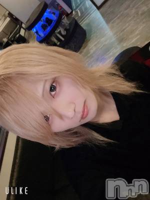 ��Į�ۥ��ȡ��ܡ������С�A151(�����������ݥ���) ��򥷥��11��2���̥�֥����ְ����Ǥ���