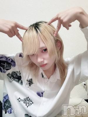 ��Į�ۥ��ȡ��ܡ������С�A151(�����������ݥ���) ��򥷥��11��7���̥�֥����������