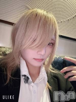 ��Į�ۥ��ȡ��ܡ������С�A151(�����������ݥ���) ��򥷥��11��9���̥�֥�����̵�ù���