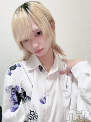 ��Į�ۥ��ȡ��ܡ������С�A151(�����������ݥ���) ��򥷥��11��10���̥�֥�����10���Ǥ���