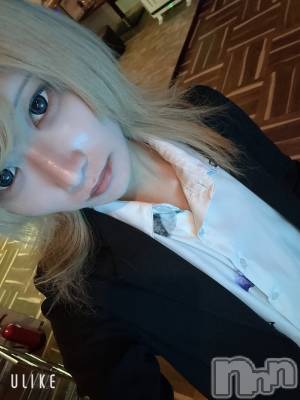 ��Į�ۥ��ȡ��ܡ������С�A151(�����������ݥ���) ��򥷥��11��15���̥�֥����ָ��ճڤ�����