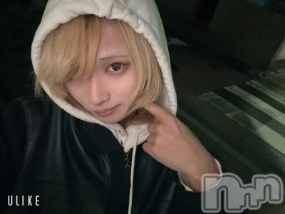 ��Į�ۥ��ȡ��ܡ������С�A151(�����������ݥ���) ��򥷥��11��23���̥�֥����ָ��ճʹ��ɤ��ʤä���