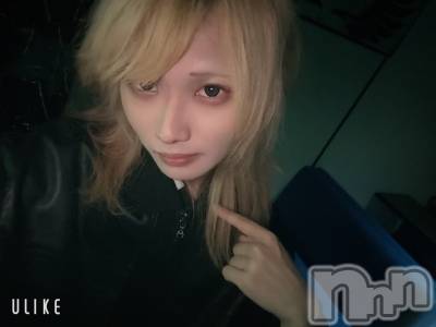 ��Į�ۥ��ȡ��ܡ������С�A151(�����������ݥ���) ��򥷥��11��27���̥�֥����ֽжФ�������