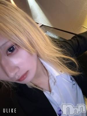 ��Į�ۥ��ȡ��ܡ������С�A151(�����������ݥ���) ��򥷥��12��5���̥�֥����ֽжФǤ���