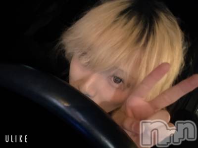 ��Į�ۥ��ȡ��ܡ������С�A151(�����������ݥ���) ��򥷥��12��7���̥�֥����֤��֡�