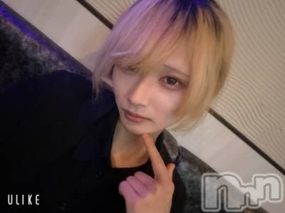 ��Į�ۥ��ȡ��ܡ������С�A151(�����������ݥ���) ��򥷥��12��11���̥�֥����֤��Ϥ褦��