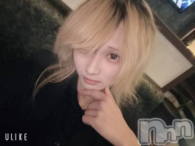 ��Į�ۥ��ȡ��ܡ������С�A151(�����������ݥ���) ��򥷥��12��13���̥�֥����֤���Ф���