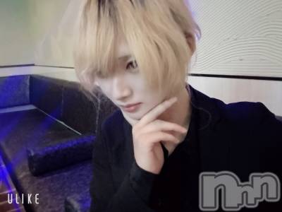 ��Į�ۥ��ȡ��ܡ������С�A151(�����������ݥ���) ��򥷥��12��15���̥�֥����ֽжФ��ޤ�������