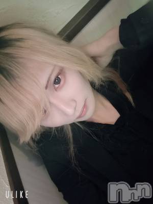 ��Į�ۥ��ȡ��ܡ������С�A151(�����������ݥ���) ��򥷥��12��21���̥�֥����ֿ���ˤ��ޤ���