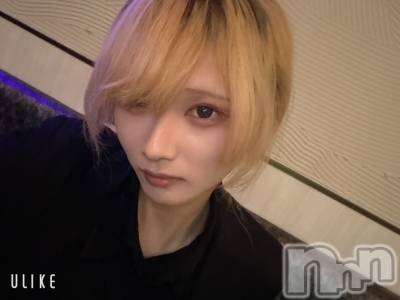 ��Į�ۥ��ȡ��ܡ������С�A151(�����������ݥ���) ��򥷥��12��25���̥�֥����֥ݡ�������