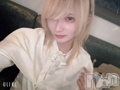 ��Į�ۥ��ȡ��ܡ������С�A151(�����������ݥ���) ��򥷥��12��26���̥�֥����֥��ꥹ�ޥ��Ϥ⤦�����ޤ�����