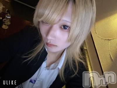 ��Į�ۥ��ȡ��ܡ������С�A151(�����������ݥ���) ��򥷥��12��27���̥�֥����ֽжФǤ������ޤ���