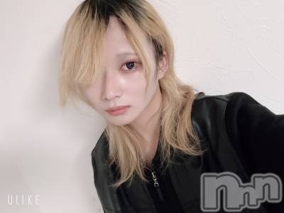 ��Į�ۥ��ȡ��ܡ������С�A151(�����������ݥ���) ��򥷥��1��4���̥�֥����֤��������