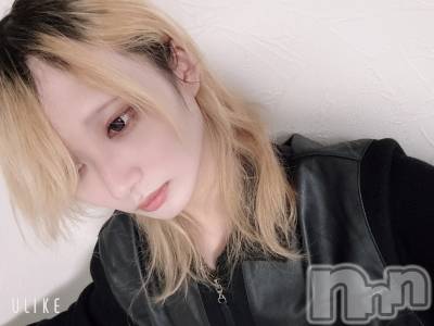 ��Į�ۥ��ȡ��ܡ������С�A151(�����������ݥ���) ��򥷥��1��11���̥�֥�����ȴ���ʤ���