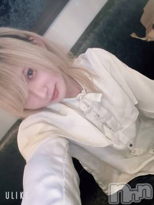 ��Į�ۥ��ȡ��ܡ������С�A151(�����������ݥ���) ��򥷥��1��17���̥�֥����ֽжС�