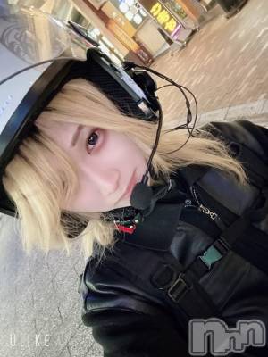 ��Į�ۥ��ȡ��ܡ������С�A151(�����������ݥ���) ��򥷥��1��23���̥�֥����������餷�������