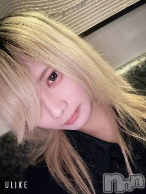 ��Į�ۥ��ȡ��ܡ������С�A151(�����������ݥ���) ��򥷥��1��29���̥�֥����ֽжФ���