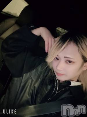 ��Į�ۥ��ȡ��ܡ������С�A151(�����������ݥ���) ��򥷥��1��31���̥�֥����ֽжФ���