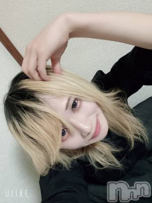 ��Į�ۥ��ȡ��ܡ������С�A151(�����������ݥ���) ��򥷥��2��4���̥�֥����֤���ä������