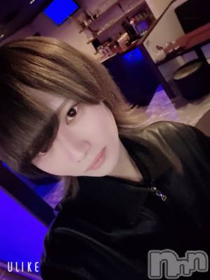 ��Į�ۥ��ȡ��ܡ������С�A151(�����������ݥ���) ��򥷥��2��12���̥�֥����ֽжФ��Ƥ��