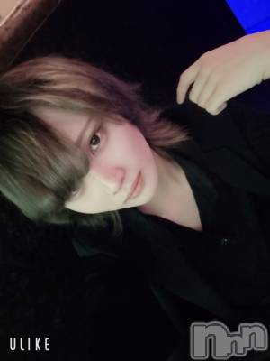 ��Į�ۥ��ȡ��ܡ������С�A151(�����������ݥ���) ��򥷥��2��16���̥�֥����ֽжФ���