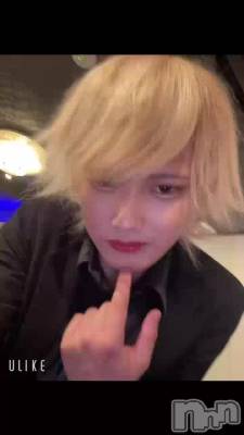 ����������໣��Ԥ�����