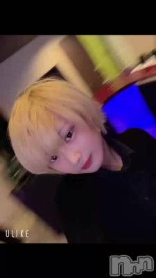 ���ܸ����ʤ�