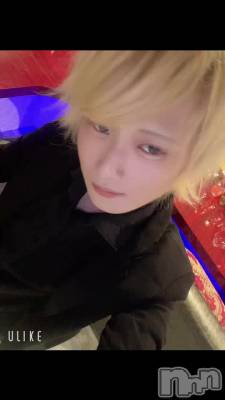 �����ϼ�ǯ�ס���