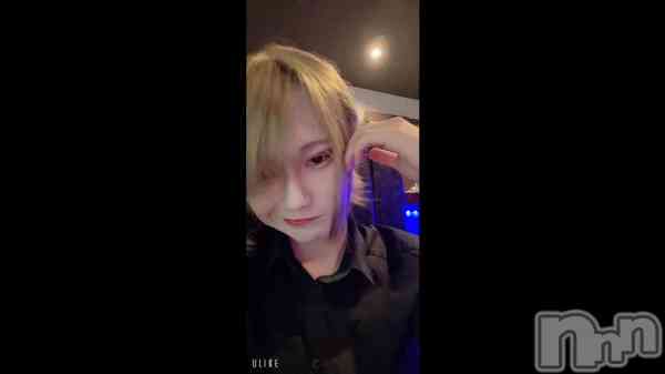 �֥���������