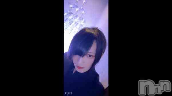 �֥����ѥ󥿥�Ǽ̿����������ͳ��