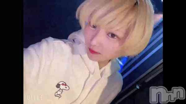 �ֺ����ϻ���������