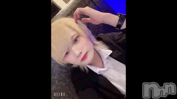 �ֶ�������