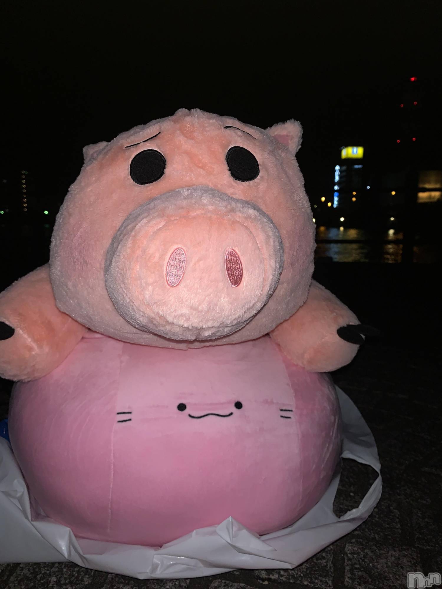 �����������������åȥС�BAR NOIR(�С��Υ��) ��2024ǯ9��2���̥�֥����ַ��ᡪ��