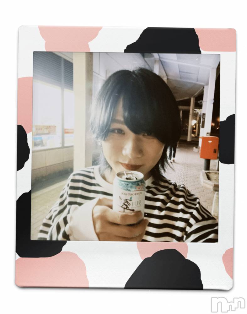 ��Į�ۥ��ȡ��ܡ������С�A151(�����������ݥ���) �֡�ͺ ˱����6��19���̥�֥����ֽжС�