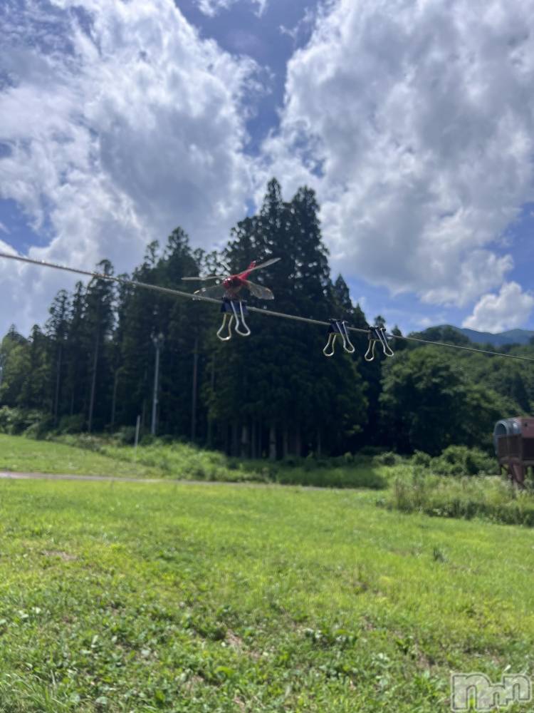 ��Į�ۥ��ȡ��ܡ������С�A151(�����������ݥ���) �֡�ͺ ˱����7��21���̥�֥�����⚠︎︎�뤤��